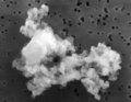 Image of cosmic dust